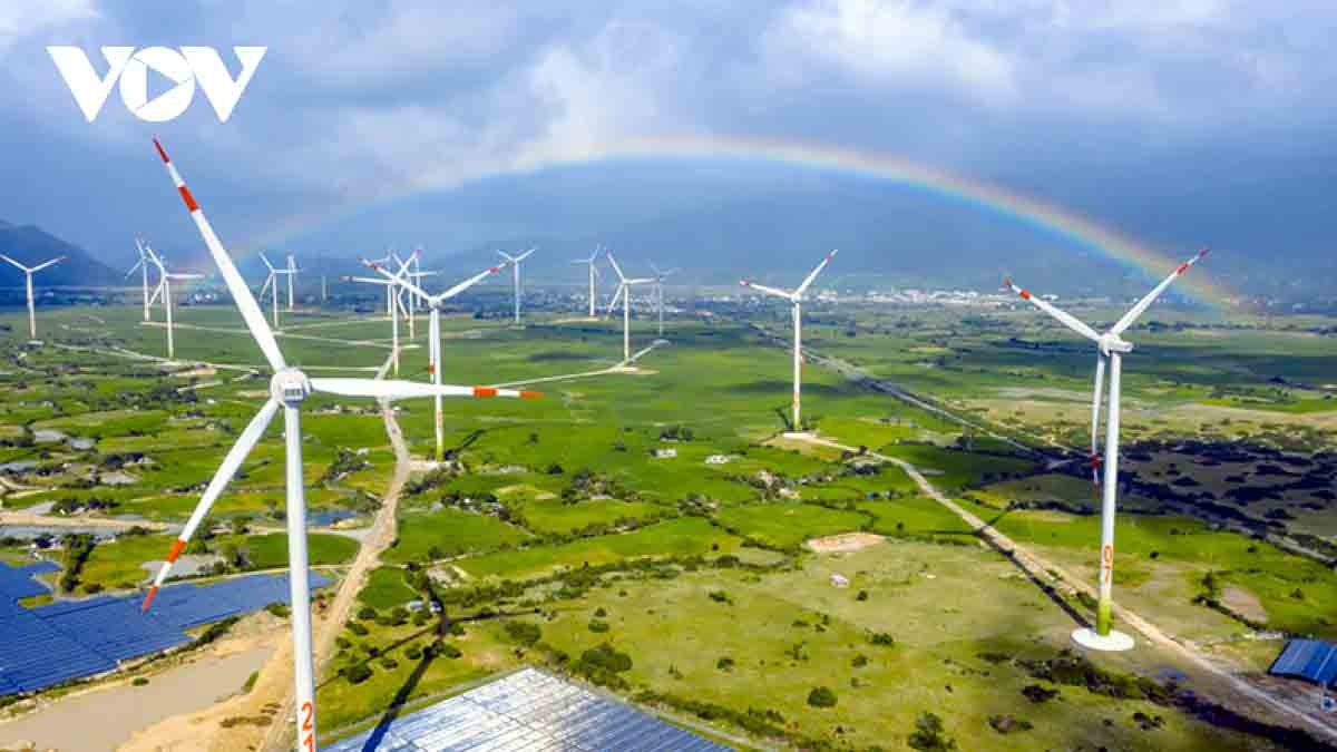 Leading corporations eye Vietnam's energy transition toward carbon neutrality